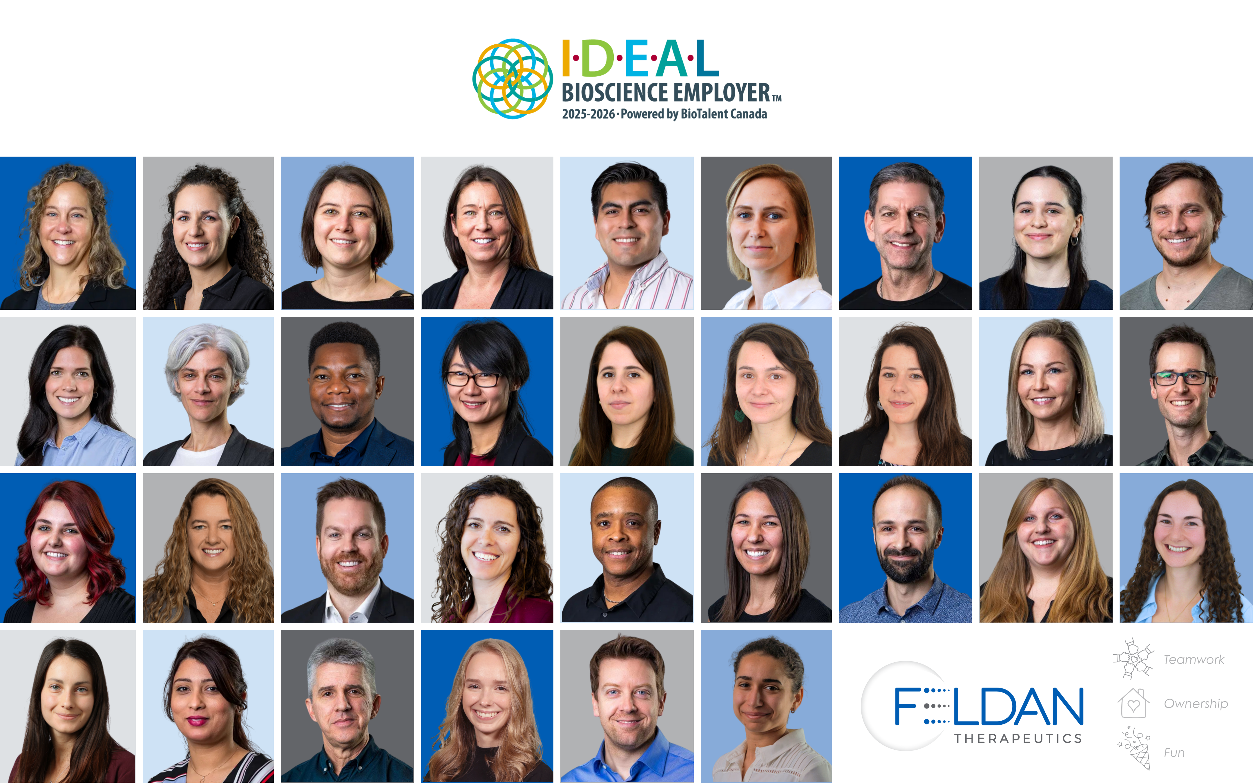 Feldan Team