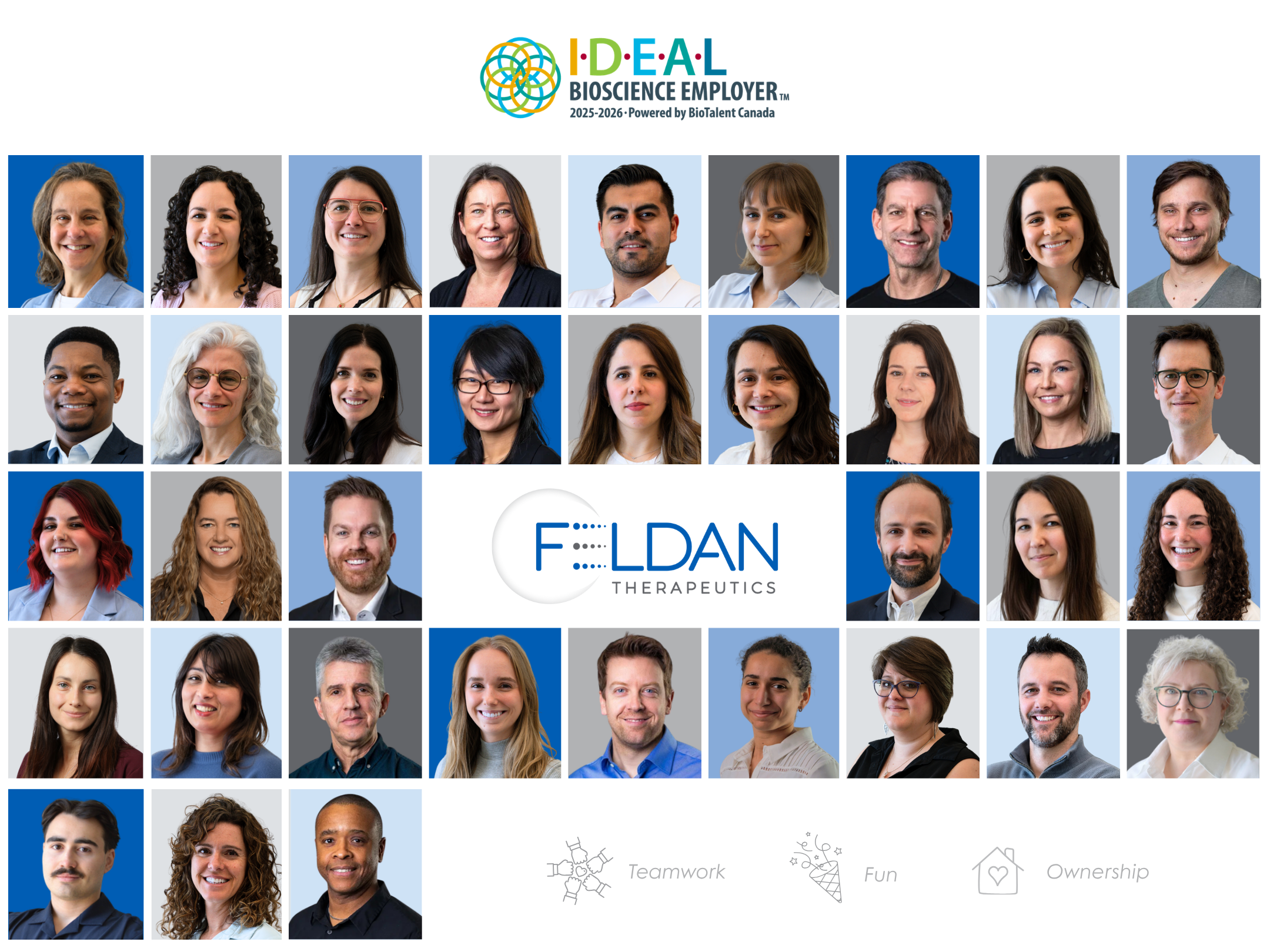 Feldan Team
