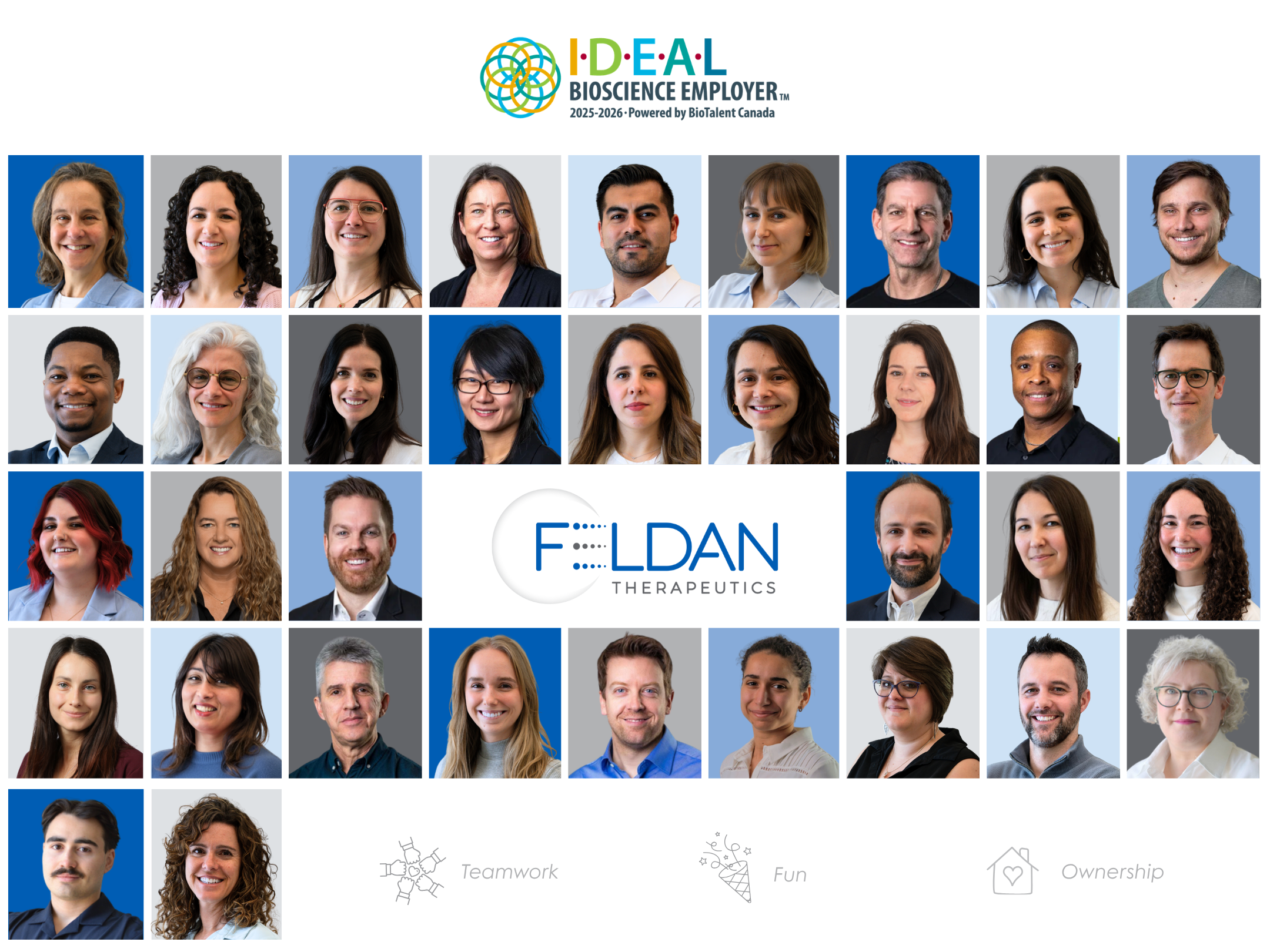 Feldan Team