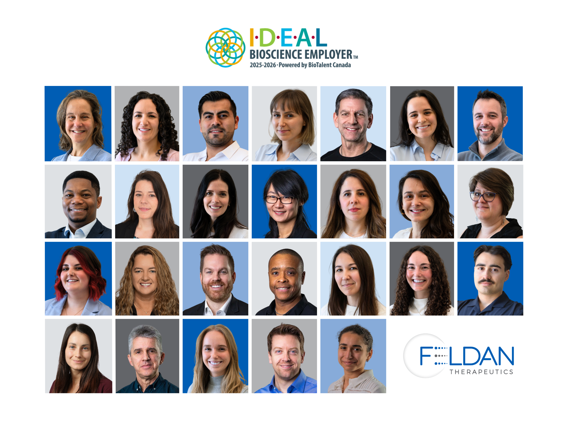 Feldan Team