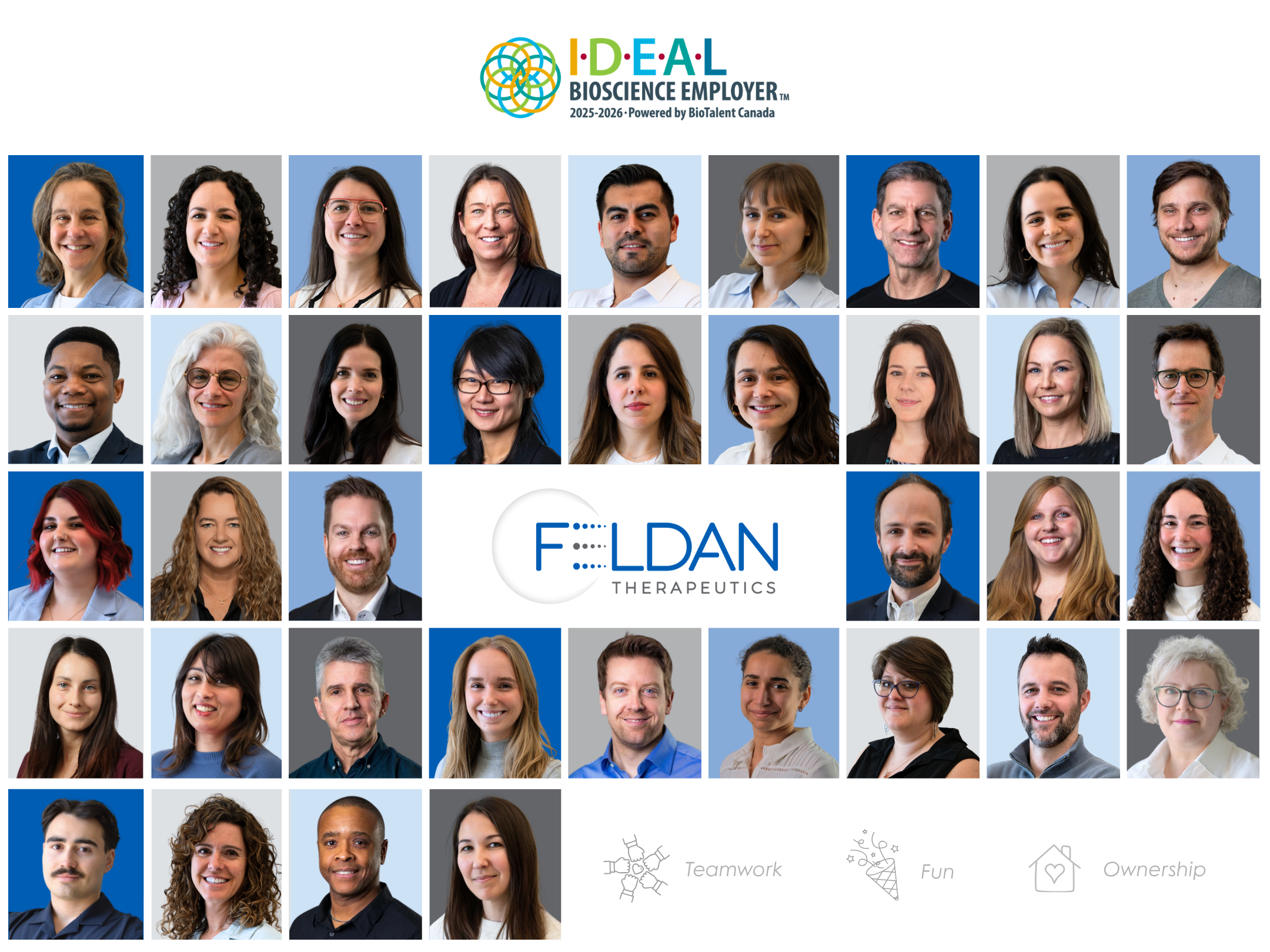 Feldan Team