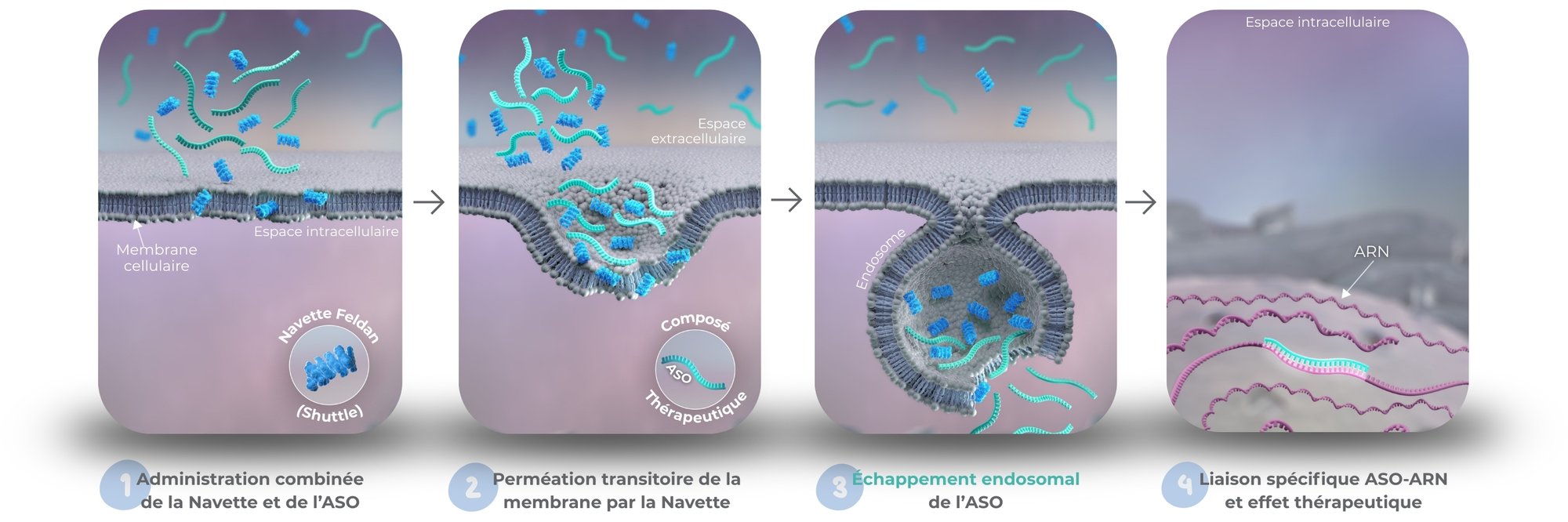 Feldan Shuttle MoA Feldan Shuttle MoA