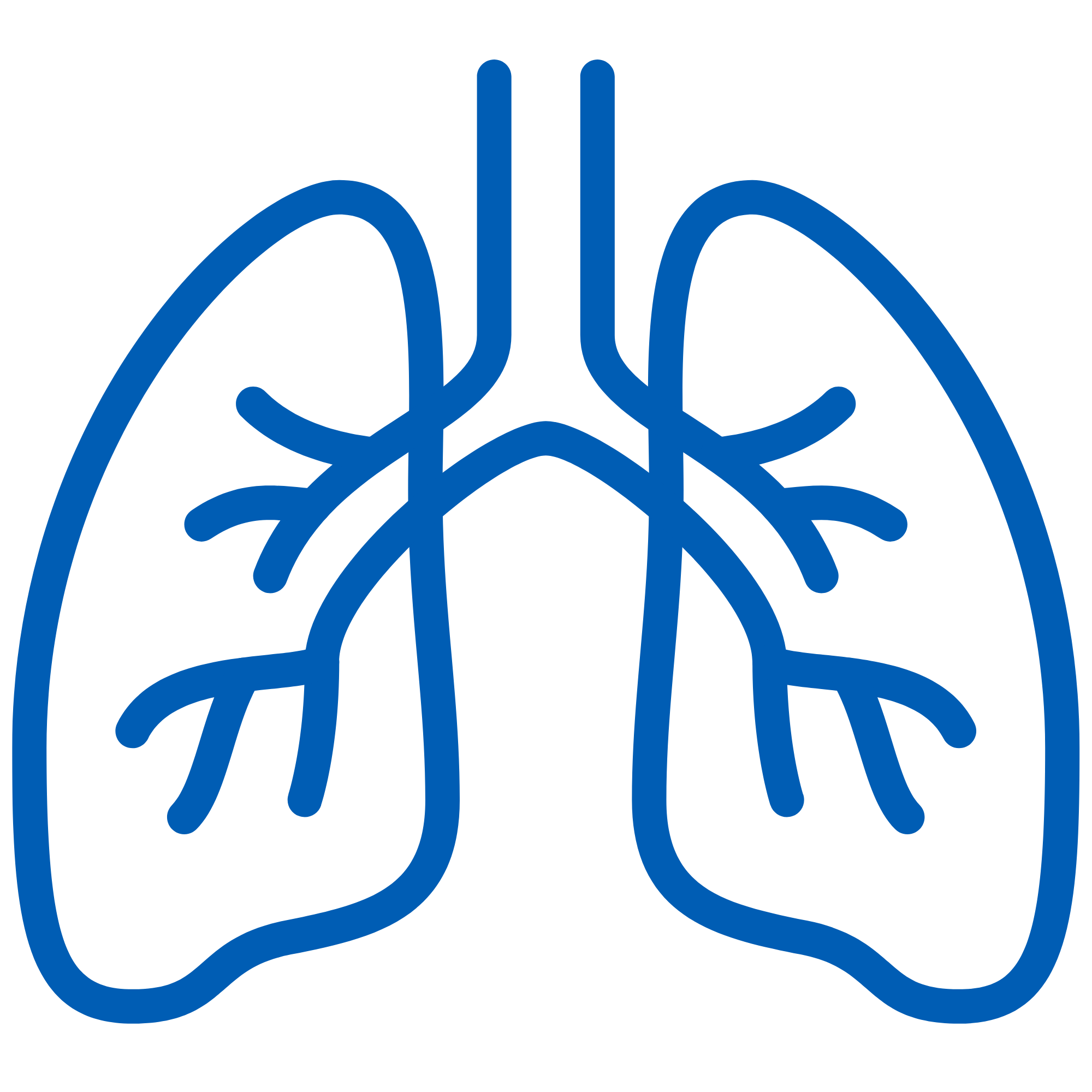 Lung image